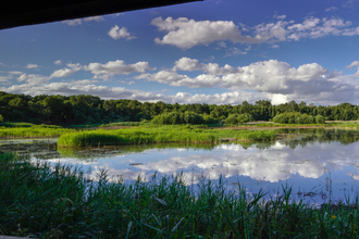The view out of a bird hide at Potteric Carr nature reserve. The bright, blue summer sky is reflecting in the lake below. Photo by John Potter.