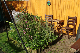 An area in the garden showing a ‘tangle’ (a wild corner where brambles and nettles have been left to thrive)