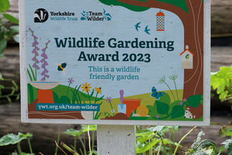 The Wildlife Gardening Award plaque being proudly displayed in someone's garden.