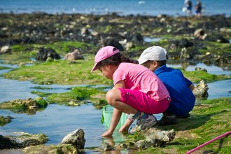 Children rockpooling