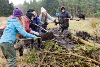 Group of young people in a field creating a wildlife habitat with bracken and fallen timber.