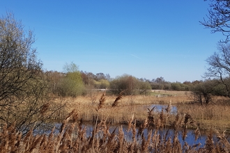 Enjoying the view over Potteric Carr