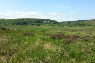 Tussocky moorland in the foreground with hills in the background.