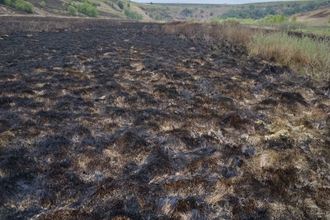Burned moorland blackened in the foreground.