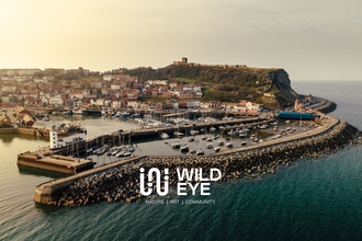 Drone image of Scarborough harbour