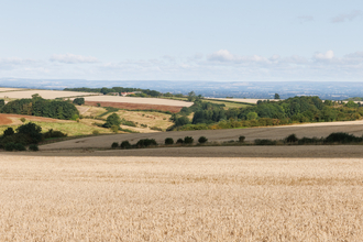 Yorkshire Wolds View, Simon Tull