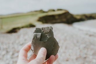 Image of a hand holding a fossil up in front of a pebble beach