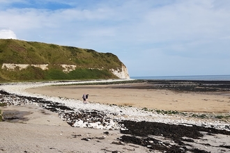 Filey Brigg Rockpooling, Howard Roddie