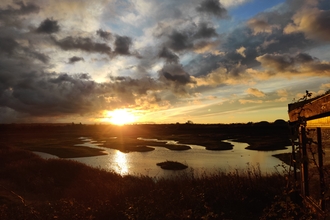 View across a wetland nature reserve as the sun is setting, taken from the side of a bird hide looking out.