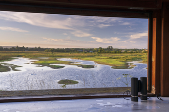 View out onto a wetland nature reserve from a hide. You can see a pair of binoculars sitting on the inside of the hide