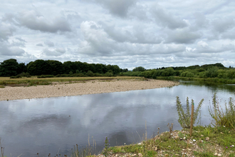 An eroded bank along the river Swale.