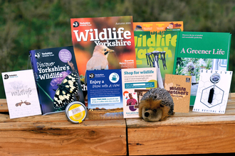 The contents of our gift membership box presented on a wooden table.