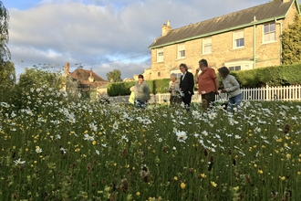 A wildflower meadow filled with multicoloured flowers