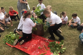 Children harvesting potatoes