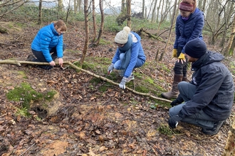 Three people crouched down on the woodland floor two at either end of a  branch holding it steady and one in the middle cutting. One person is stood up monitoring safety.