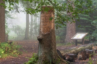 Image of a misty woodland with a carved tree stump in the foreground reading 'Moorlands Nature Reserve'