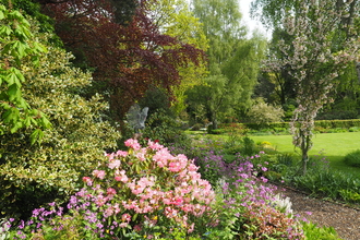 Garden in Early May
