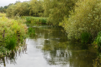 River Skerne in landscape