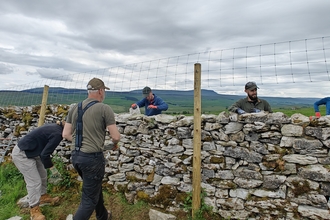 group of people drystone walling in the Yorkshire Dales