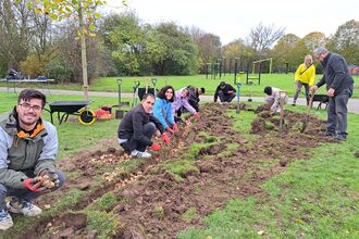 group of people crouched down next to a long area on a park that they are digging in preparation to plant thingss