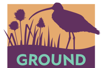 Ground Nest Fest logo with text and image of a curlew