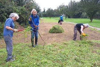 A group of people working together to create a community meadow