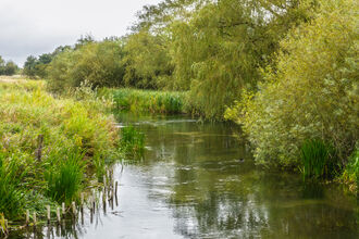 River Skerne in landscape, summer