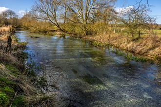 Chalk stream on a sunny late winter day