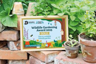 Wildlife Gardening Award 2025 Gold places on a wall in someone's garden