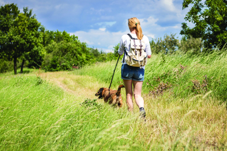 woman walking a dog on a lead away from the camera out in nature. There is a path in the graa and trees line the path further beyond in the picture. It looks like a warm day