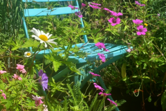 Urban Yarden - view of a chair on concrete yard surrounded by wildflowers