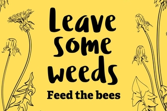 Infograph on yellow background that reads: Leave some weeds feed the bees