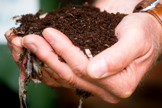 hand holding some peat-free compost