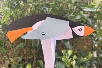 Paper puffin puppet with flapping wings in front of a leafy bush