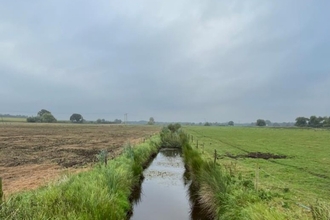 Humberhead levels