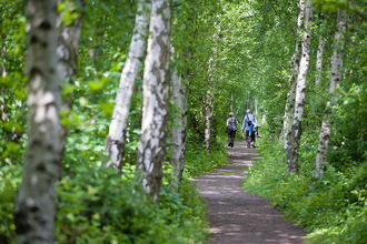 Two people walking through a woodland