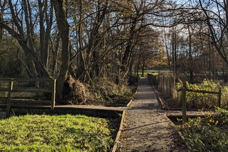 image of the boardwalk