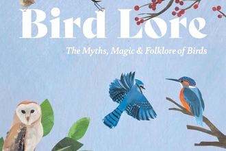 Bird lore book on a pale blue background with images of birds