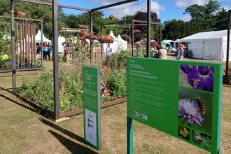 Photo of our Hoverfly Haven community cube garden at RHS Wentworth Woodhouse. e