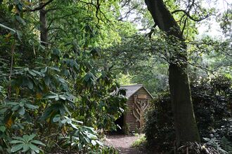 Woodland view Moorlands - Howard Roddie