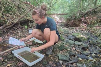 A young girl with her hair in a bun crouched down by a stream looking at a piece of paper