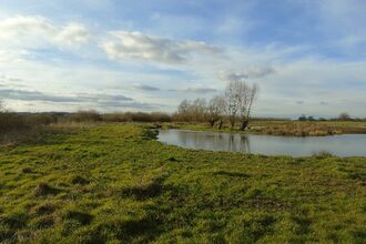 A large grassy area with a pool to the right