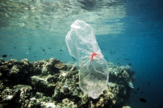 A clear plastic bag with red tie floats in front of a bustling reef