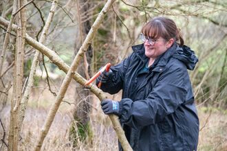 Coppicing hazel - Sara Spillett