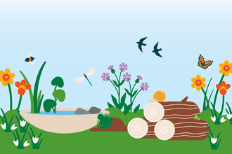 illustration of a wildlife garden with a container pond, flowers and log pile