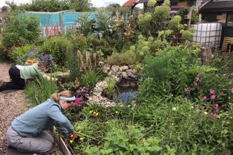 Two people kneeling down gardening surrounded by plants and a pond