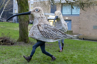 Two people wearing large, detailed bird costumes with long, curved black beaks are walking across a grassy area. The costumes resemble curlews, with brown and white mottled wings. One person is in the foreground, wearing dark blue leggings and brown boots, in motion. Another person, partially visible behind the first, wears grey pants and brown shoes. The background includes a tree, a brick building, and a glimpse of a cloudy sky.