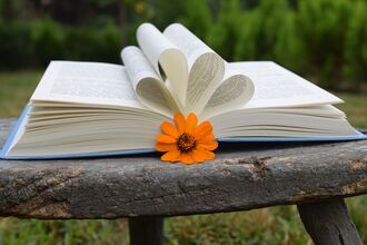 A book lies open with its pages arranged to look like flowers. An orange flower rests against its spine.