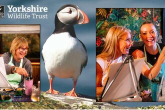 Image of a puffin overlayed by photos of people painting and laughing