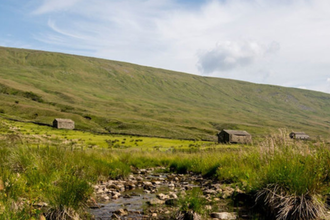 A rural landscape featuring a small stream flowing through grassy moorland with distant stone-built structures and rolling green hills under a blue sky with scattered clouds, overlaid with event logos for "Ground Nest Fest", "Woodland Trust", and "Yorkshire Peat Partnership".